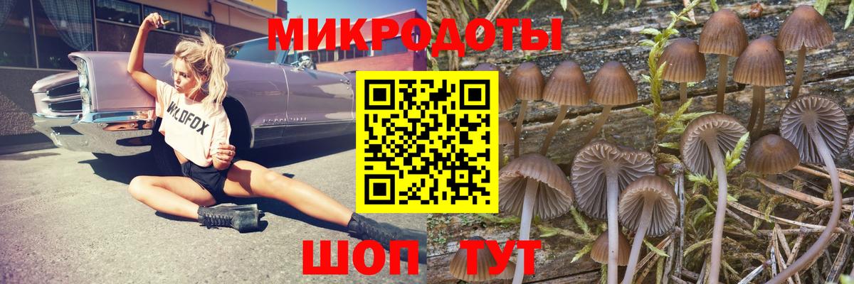 Галлюциногенные грибы MAGIC MUSHROOMS Щёкино